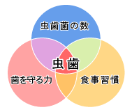 虫歯の原因 - 虫歯菌の数・歯を守る力・食事習慣